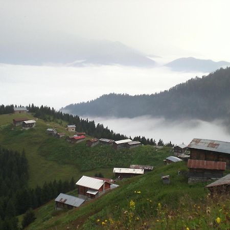 Ayder Hasimoglu Hotel Экстерьер фото