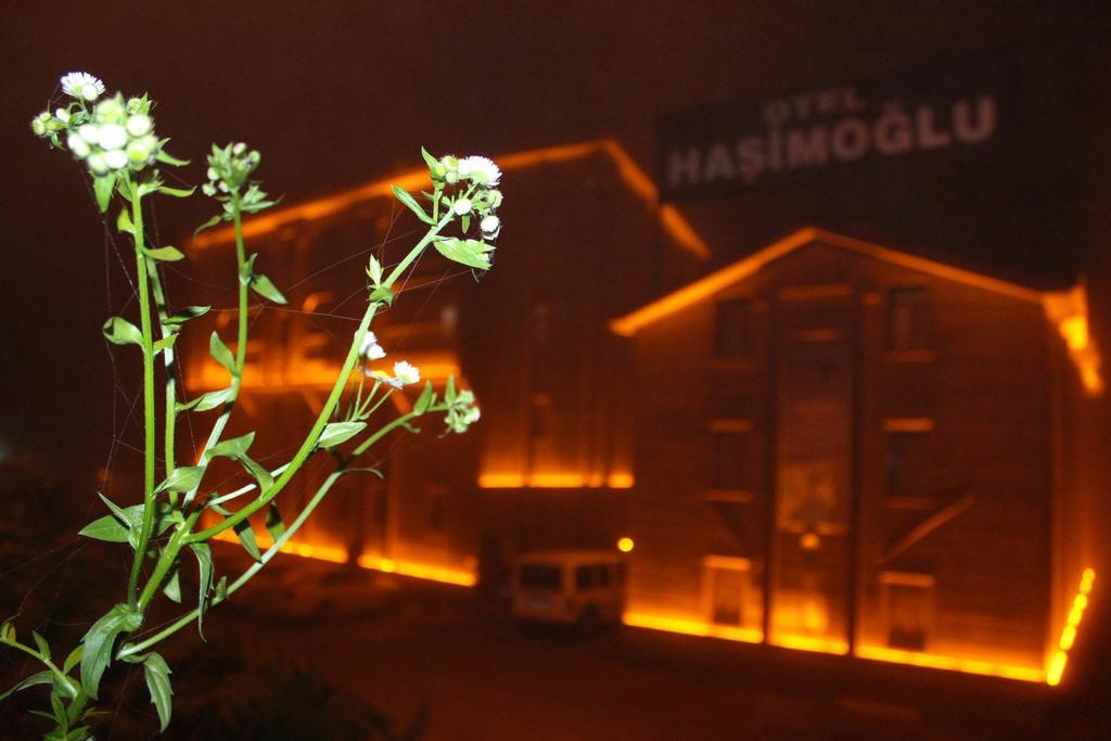 Ayder Hasimoglu Hotel Экстерьер фото